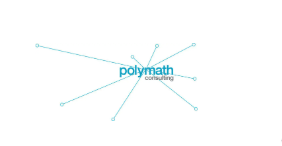 Polymath Consulting - Client